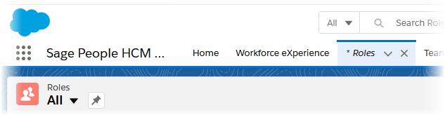 Screenshot: Roles tab in the HR Manager portal